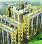 Gurugram, Flats, Plots, Commercial Shop
