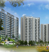 Nodia, Gr. Nodia, Flats, Plots, Commercial Shop, Sale/Buy/Rent Offices